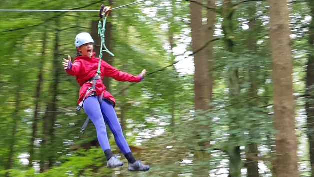 Tree Top Trials The Explorer Experience for an Adult and a Child