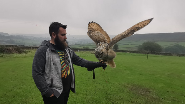 Birds of Prey Encounter at SMJ Falconry for One