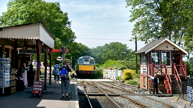 Diesel Train Cab Ride with Kent and East Sussex Railway for One