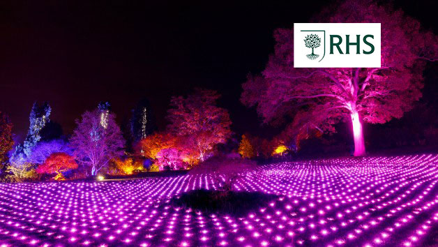 RHS Glow Illuminations for Two Adults and Two Children at Wisley picture