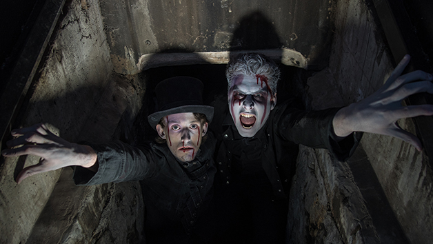 Choice of Shiverpool Ghost Tours for Two People picture