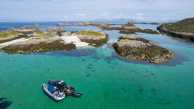 Swimming With Seals For Two In Oban, Scotland 