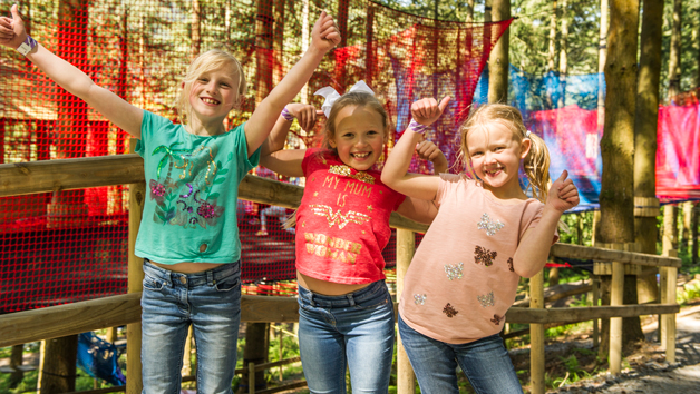 Treetop Nets for Two at Zip World, Wales