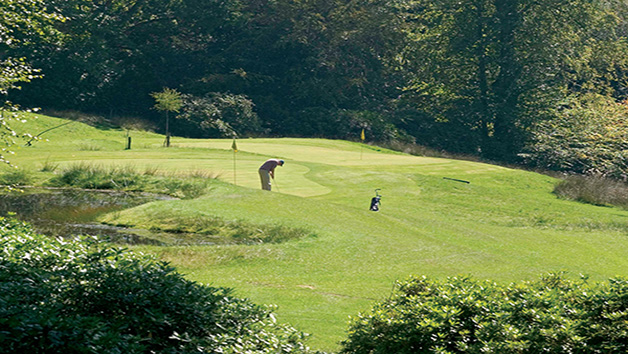 One Night Luxury Golf Break at Ashdown Park Hotel for Two picture