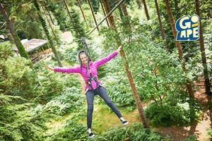 Treetop Challenge for One at Go Ape picture