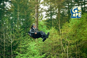 Zip Trekking Adventure for Two at Go Ape picture