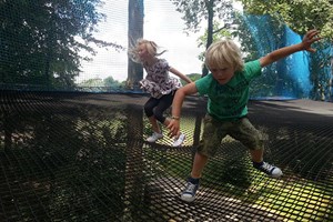 Treetop Nets Experience for One Child Image 2