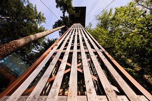 Zip Safari and Plummet for Two at Zip World picture