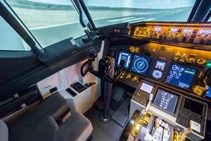 90 Minute Boeing 737-800 Flight Simulator for One  picture