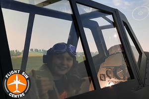 Battle of Britain Flight Simulator for Two picture