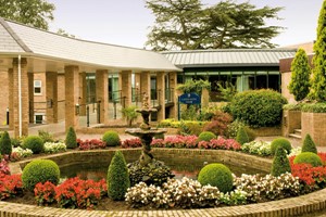 Spa Day with 55 Minute Treatment and Afternoon Tea for Two at Macdonald Portal Hotel picture