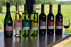 Wine Tour and Tasting for Two at Warehorne Vineyard picture