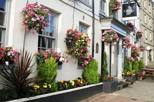 Three Course Meal and Bottle of Prosecco at The County Hotel for Two picture