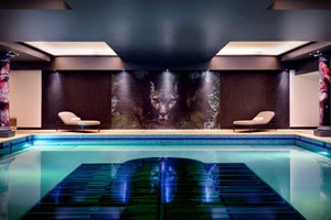 Spa Day with 40 Minute Treatment for Two at Rena Spa at NYX Hotel London Holborn picture