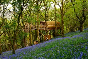 Two Night Stay Treehouse Experience for Two picture