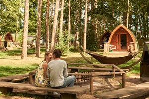 Pinewood Pod Stay for Up To Four with Safari at Port Lympne Hotel and Reserve picture