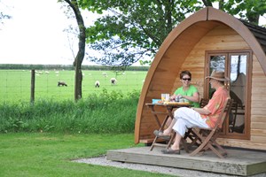 Super Pod Camping Break for Two at Woodovis Park for One Night picture