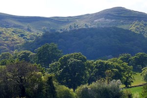 One Night Glamping Break at Rosebud Meadow Image 3