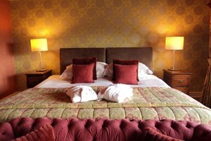 Overnight Romantic Break with Dinner at Falcondale Mansion Hotel for Two picture