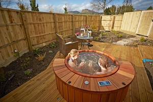 Sparkling Hot Tub Spa Break with Dinner & Bottle of Fizz for Two at Three Horseshoes, Staffordshire picture