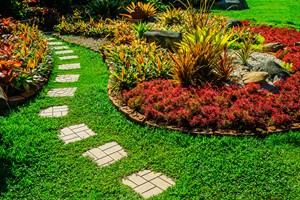 Garden Design and Maintenance Diploma Online Course for One picture