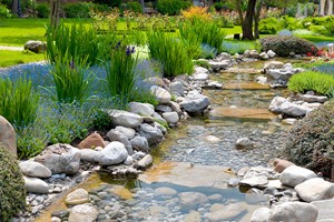 Online Zen Gardening Course for One picture