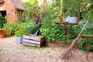 Online Self Sufficient Vegetable Gardening Course with an Expert for One picture