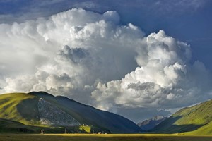 Online Photography Foundation Course with an Expert picture