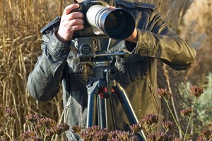 Online Flower and Plant Photography Course with an Expert for One picture