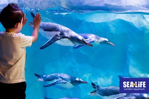 SEA LIFE London Aquarium Entry Tickets for Two Adults and Two Children picture