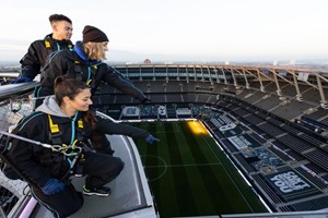 The Dare Skywalk with Prosecco or Beer for Two at Tottenham Hotspur Stadium picture