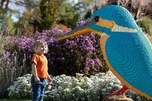 RHS Individual Membership (plus 1 guest or 2 children) picture