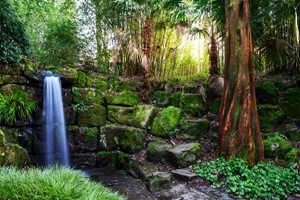 RHS Garden Entry for Two Adults picture