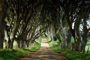 Game of Thrones Bus Tour for Two, Belfast Image 2