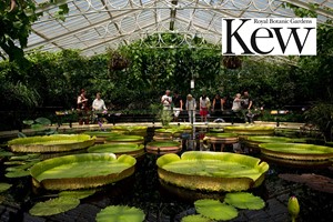 Family Visit to Kew Gardens and Palace for Two Adults and Two Children picture
