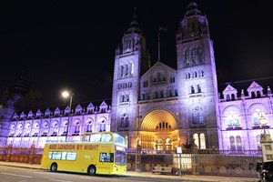 See London By Night Tour for Two picture