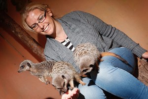 2 for 1 Meerkat Experience at Hoo Zoo & Dinosaur World for Two Image 4