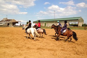 Horse Riding Lesson at Elmwood Equestrian Centre for One picture