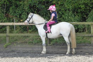 Pevlings Farm Horse Riding Lesson for One picture