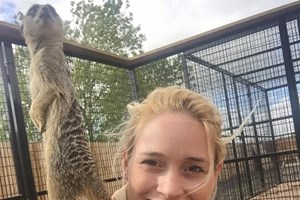 2 for 1 Meerkat Encounter at The Animal Experience Image 2