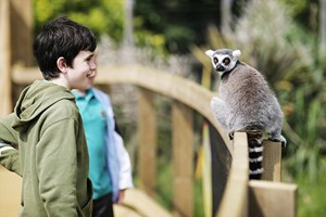 Entry to London Zoo for One Adult and One Child Image 2