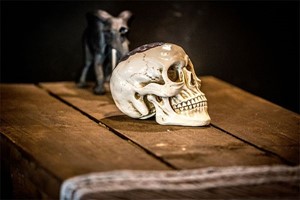 Machina Escape Room Experience for Two in Leeds picture