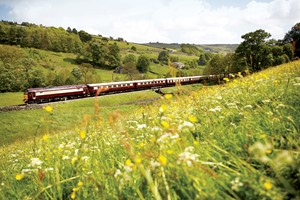 Full Day Excursion with Brunch and Bellinis for One on the Northern Belle picture