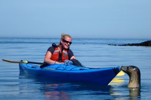 Half Day Guided Kayaking Experience for Two at Sea Kayak Devon picture