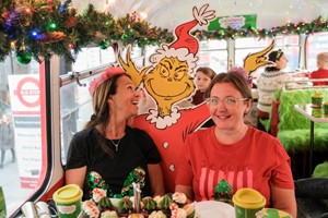 Weekend Grinchmas Afternoon Tea Bus Tour for Two Adults and One Child with Brigit’s Bakery picture