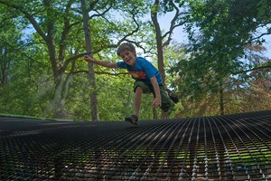 Treetop Nets Experience for One Child Image 4