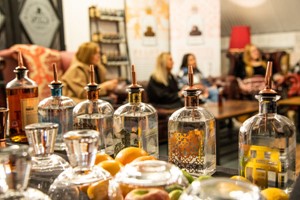 Gin Tasting Experience for One at The Warwickshire Gin Company picture