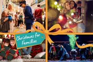 Christmas for Families Experience Choice Voucher picture