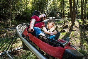 Zip World Fforest Coaster Shared Sled Ride for One Adult and One Child Image 2