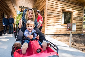 Click to view details and reviews for Zip World Fforest Coaster Shared Sled Ride For One Adult And One Child.